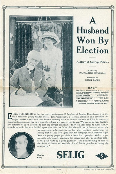 Póster de A Husband Won by Election