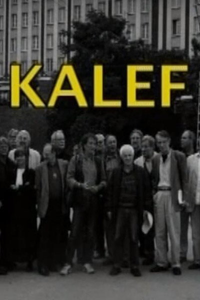 Póster de A kalef (A Moszkva téri galeri)