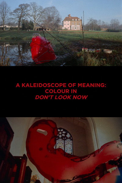 Póster de A Kaleidoscope of Meaning