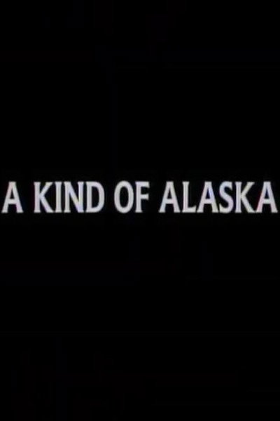 Póster de A Kind of Alaska