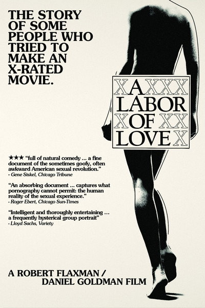 Póster de A Labor of Love