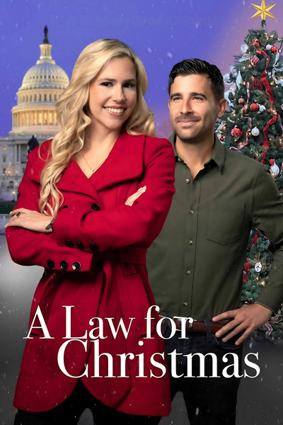 Póster de A Law for Christmas