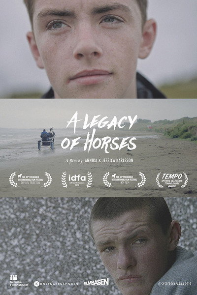 Póster de A Legacy of Horses