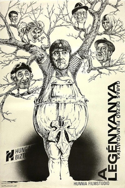 Póster de A legényanya