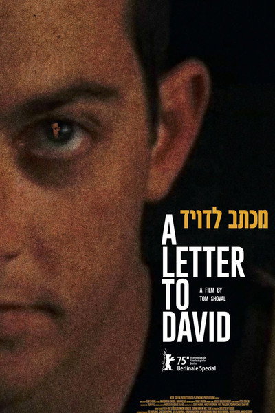 Póster de A Letter to David