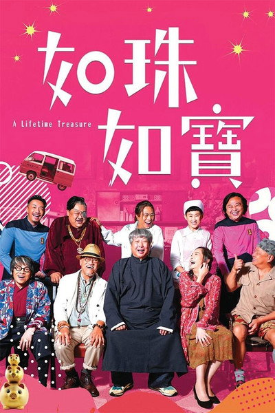 Póster de A Lifetime Treasure