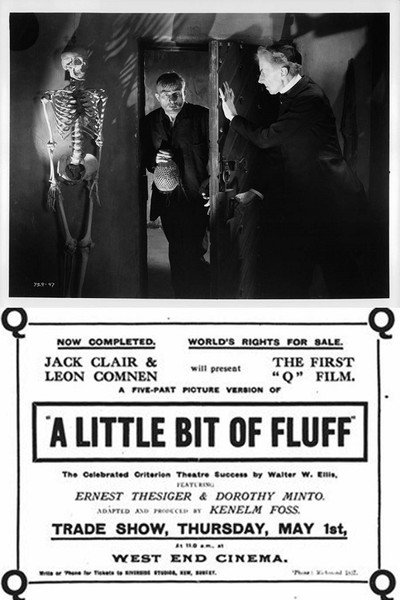 Póster de A Little Bit of Fluff