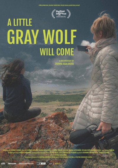 Póster de A Little Gray Wolf Will Come