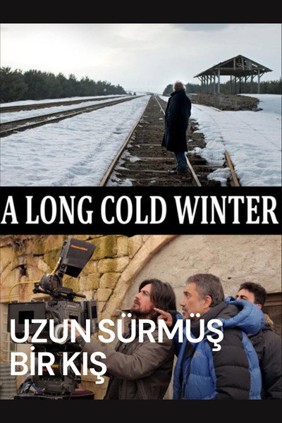 Póster de A Long Cold Winter