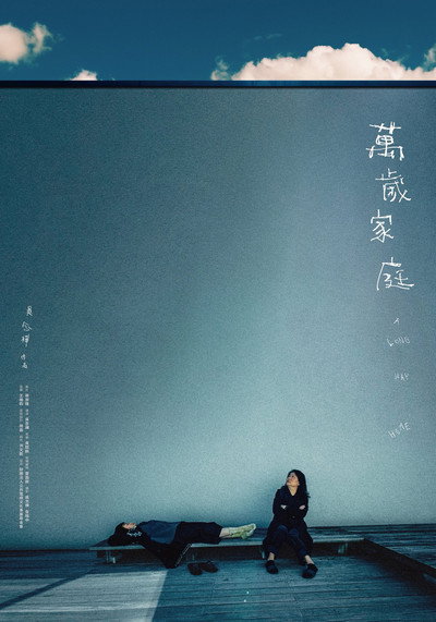 Póster de A Long Way Home