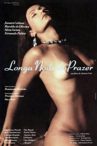 Póster de A Longa Noite do Prazer