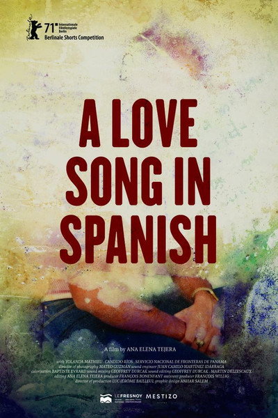 Póster de A Love Song in Spanish