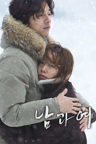 Póster de A Man and a Woman
