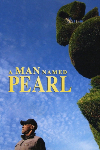 Póster de A Man Named Pearl