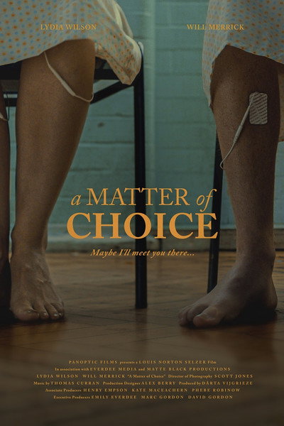 Póster de A Matter of Choice