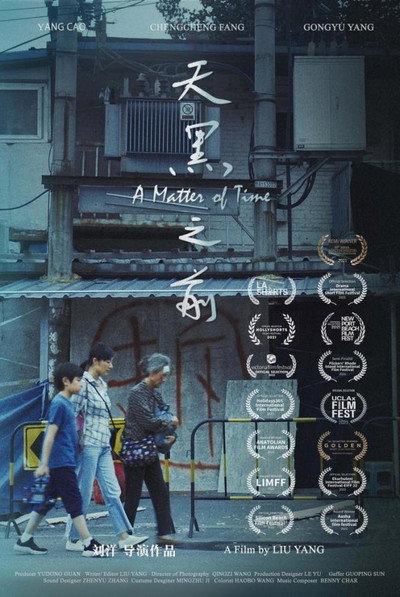 Póster de A Matter of Time
