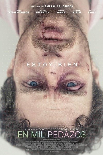 Póster de A Million Little Pieces