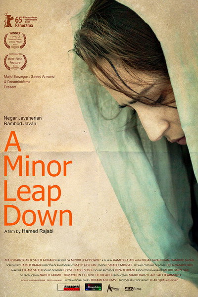 Póster de A Minor Leap Down