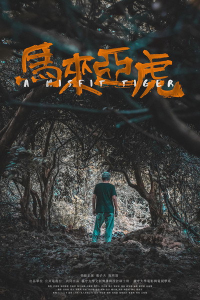 Póster de A Misfit Tiger