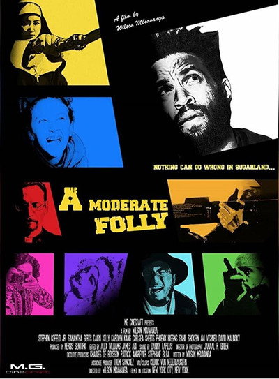 Póster de A Moderate Folly