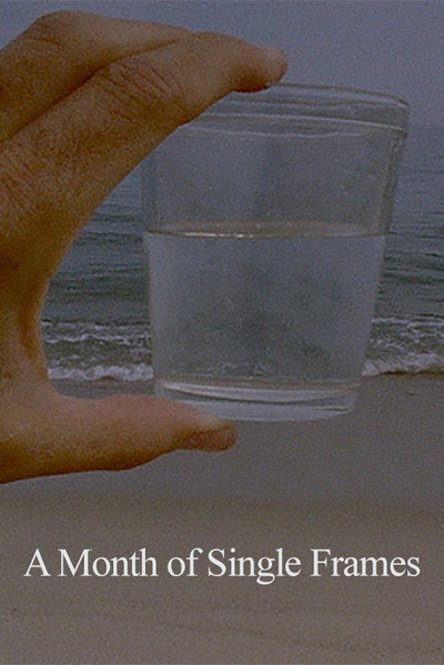 Póster de A Month of Single Frames