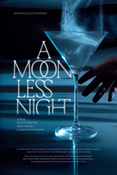 Póster de A Moonless Night