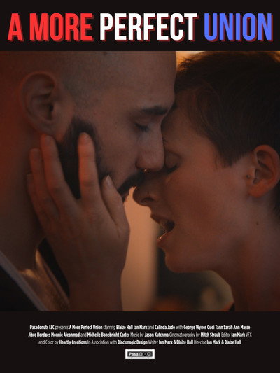 Póster de A More Perfect Union