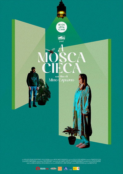 Póster de A mosca cieca