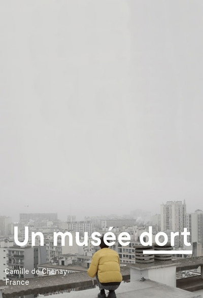 Póster de A Museum Sleeps