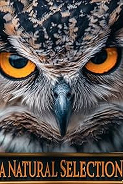 Póster de A Natural Selection
