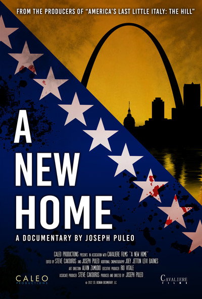 Póster de A New Home