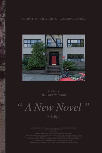 Póster de A New Novel