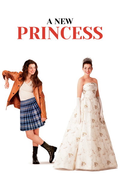 Póster de A New Princess