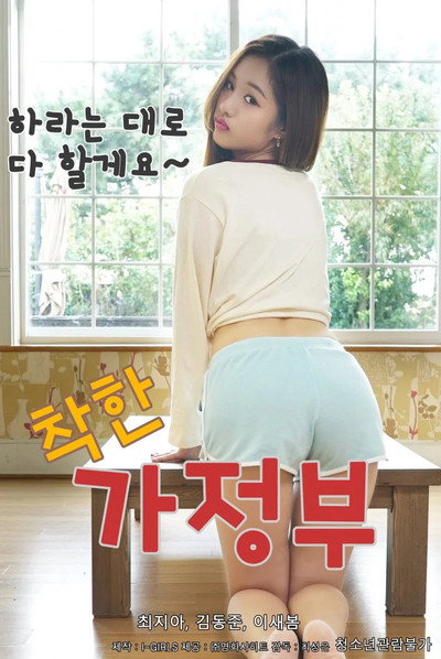 Póster de A Nice Housekeeper