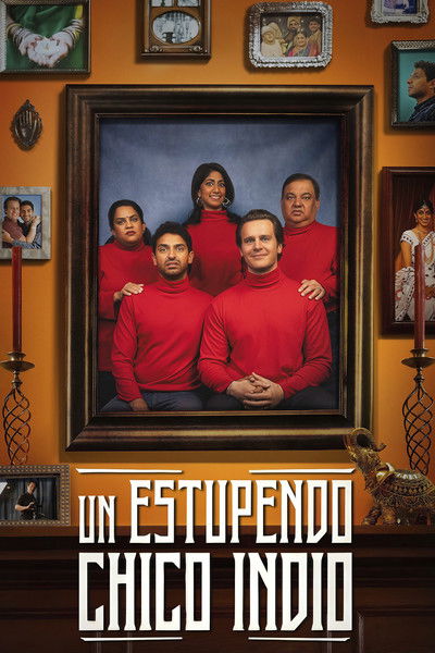 Póster de A Nice Indian Boy