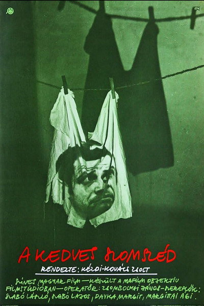 Póster de A Nice Neighbor