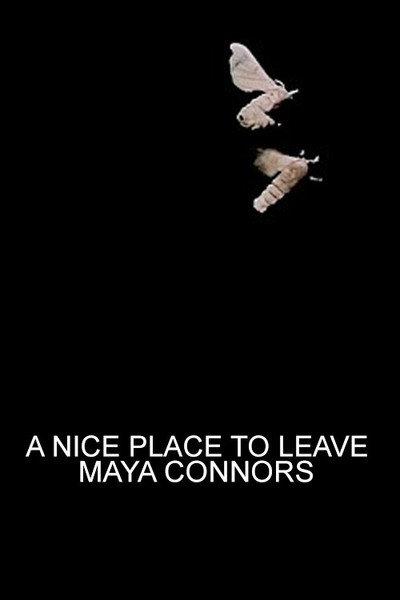 Póster de A Nice Place to Leave