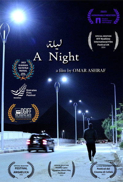 Póster de A Night