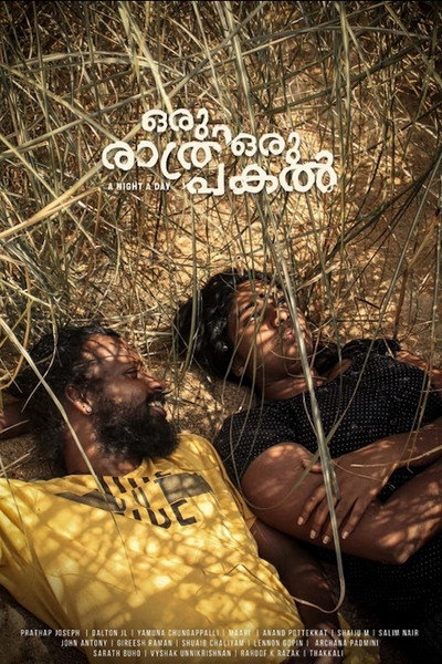 Póster de A Night A Day