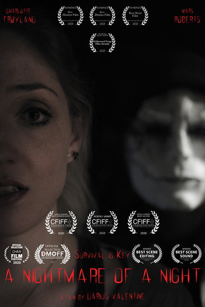 Póster de A Nightmare of a Night