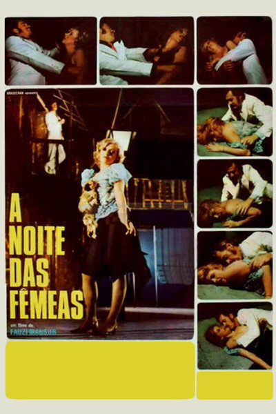 Póster de A Noite das Fêmeas