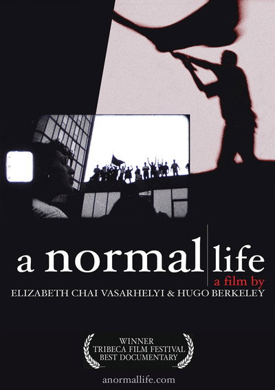 Póster de A Normal Life