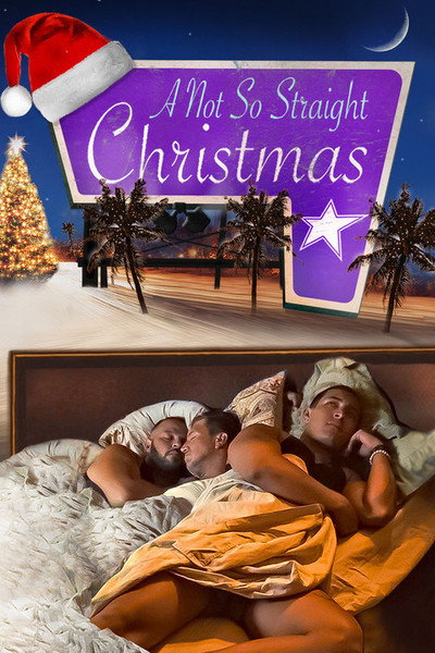 Póster de A Not So Straight Christmas