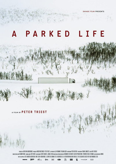 Póster de A Parked Life