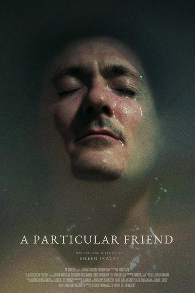 Póster de A Particular Friend