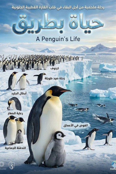 Póster de A Penguin's Life