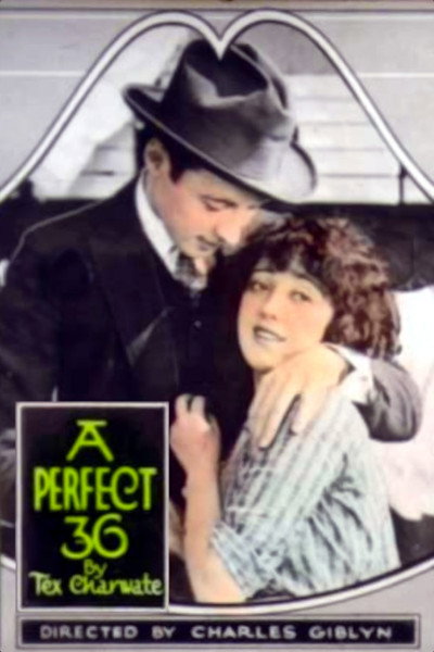 Póster de A Perfect 36