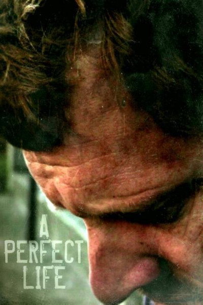Póster de A Perfect Life