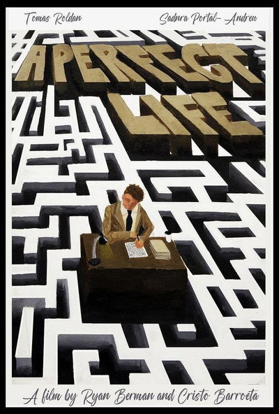 Póster de A Perfect Life