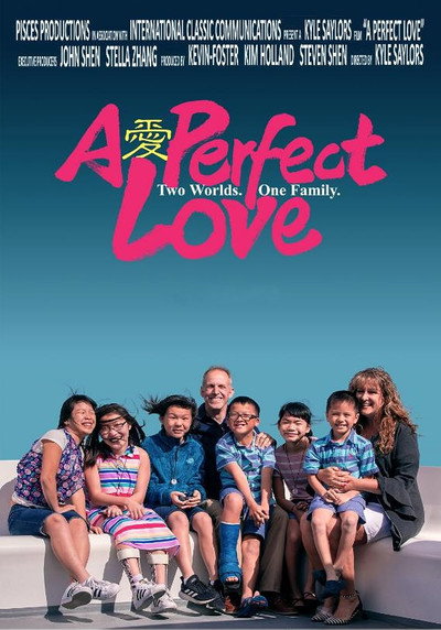 Póster de A Perfect Love